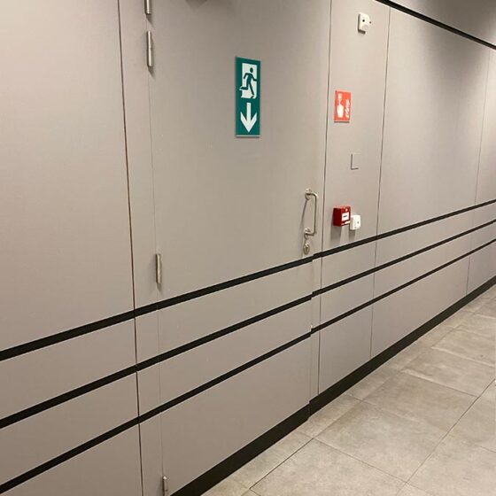 Europlafond fire-resistant door
